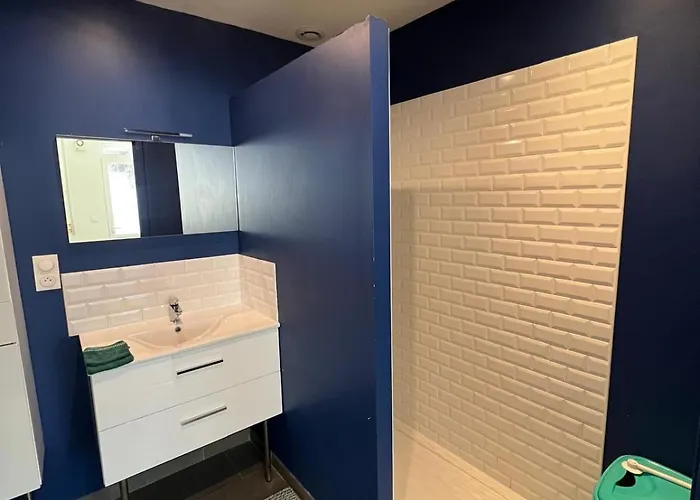 Aux Thermes Apartment Saint-Amand-les-Eaux